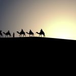 Inilah Keistimewaan Al-Qashwa Kendaraan Rasul Saat Menyiarkan Islam