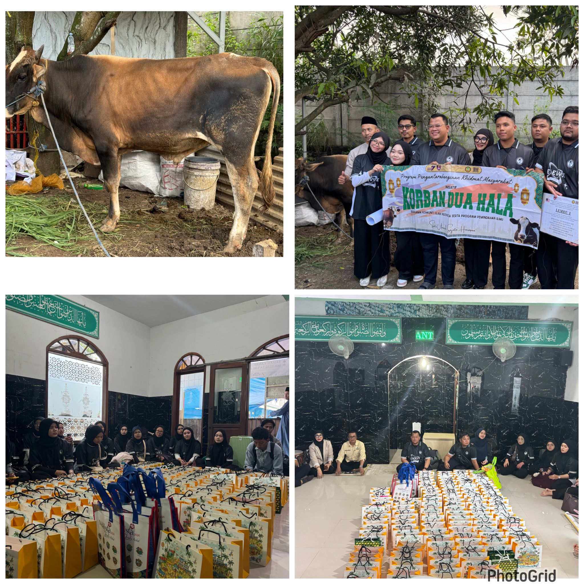 UiTM Malaysia Salurkan Sapi Kurban, Rp10 Juta, dan 250 Bingkisan Yatim Melalui Kolaborasi Internasional dengan UIN Bandung