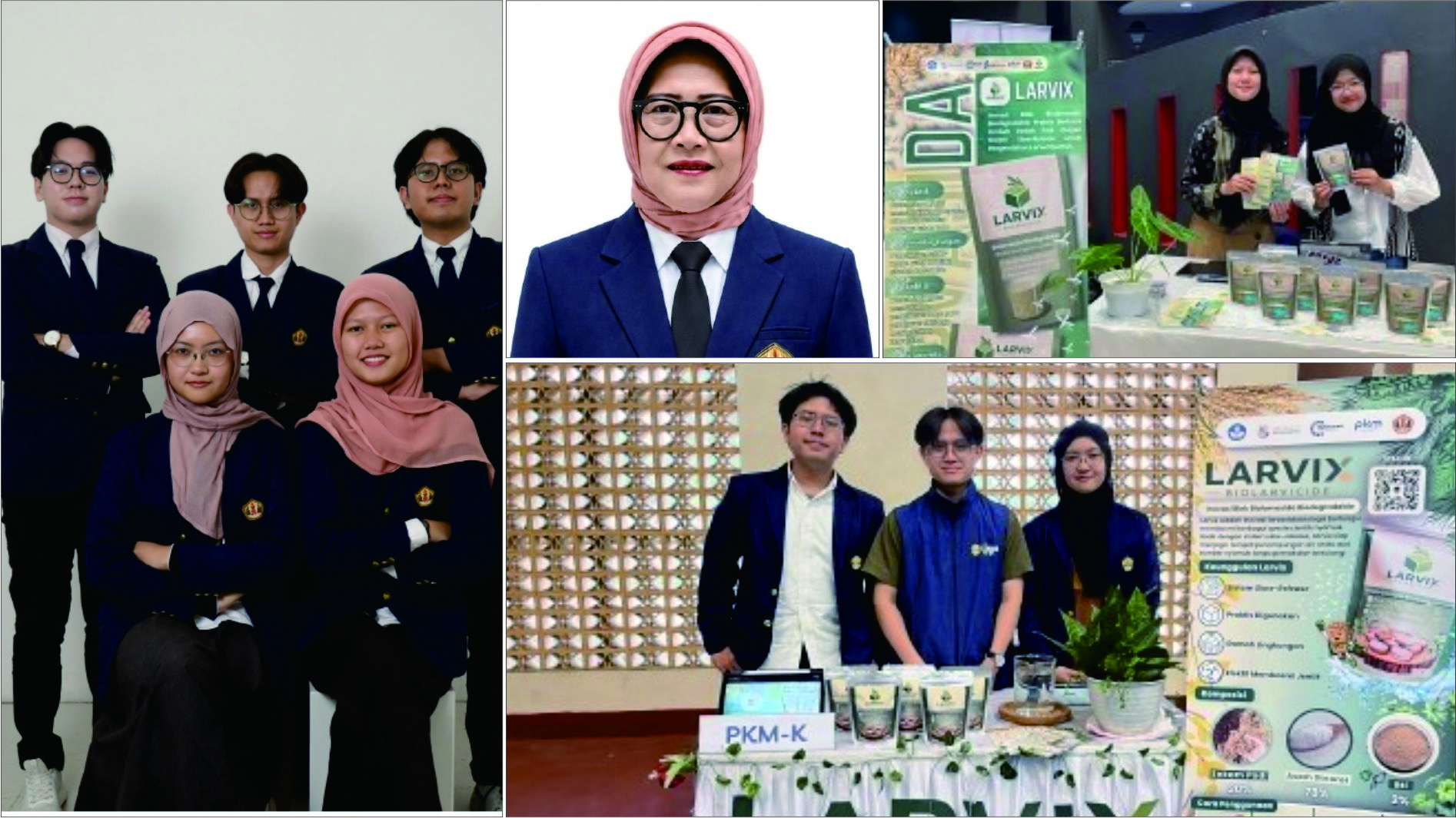 Lolos PIMNAS 39, Mahasiswa Unpad Kembangkan Larvix: Biolarvasida dari Limbah Sekam Padi untuk Basmi Jentik Nyamuk